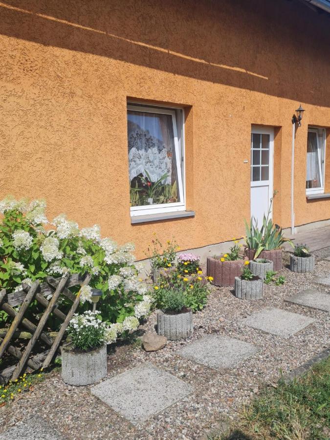 Ferienwohnung Warnitz Blankenburg  Buitenkant foto